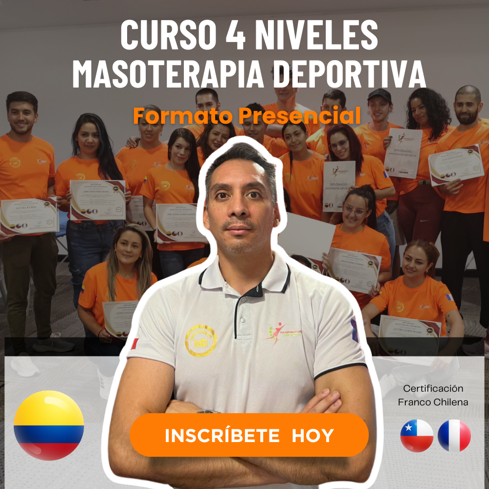 4 niveles COL PRESENCIAL
